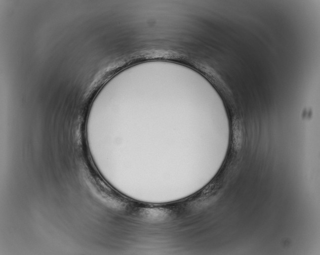 X0000115110207200911171312