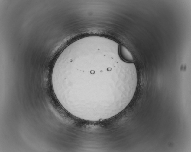 X0000115110208200911171312