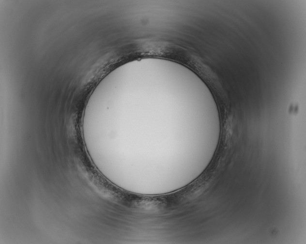 X0000115110209200911171312