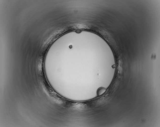X0000115110210200911171312