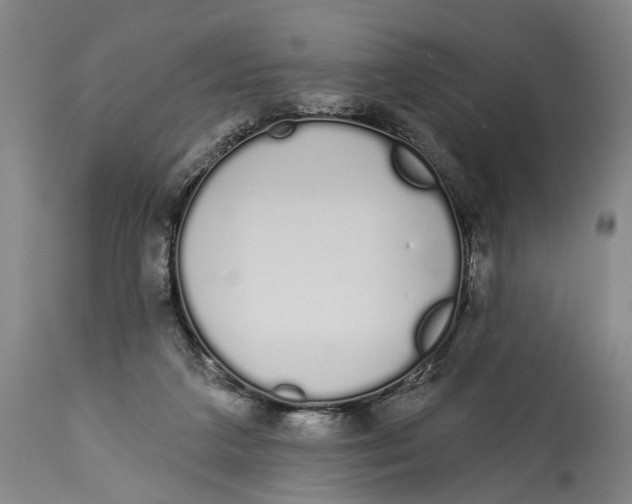 X0000115110211200911171312