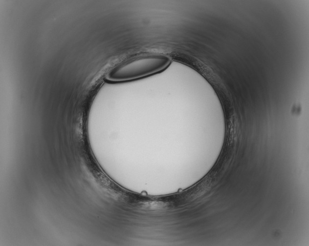 X0000115110212200911171312