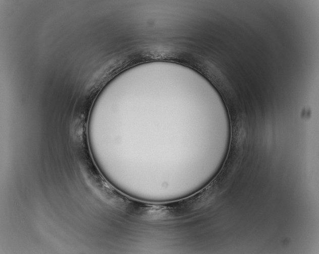 X0000115110214200911171312