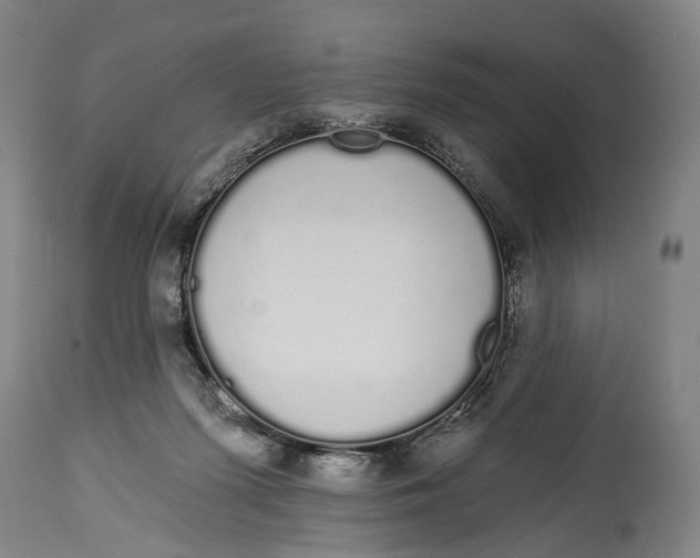 X0000115110215200911171312
