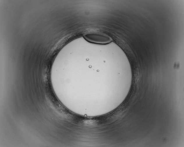 X0000115110216200911171312