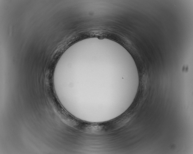 X0000115110217200911171312