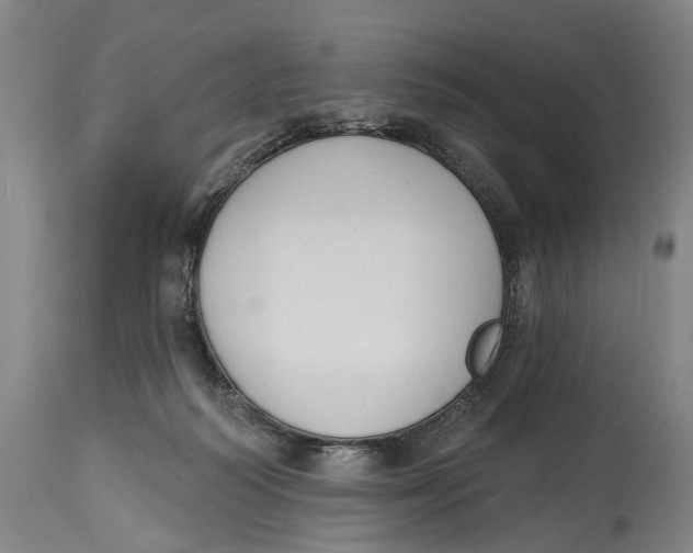 X0000115110218200911171312