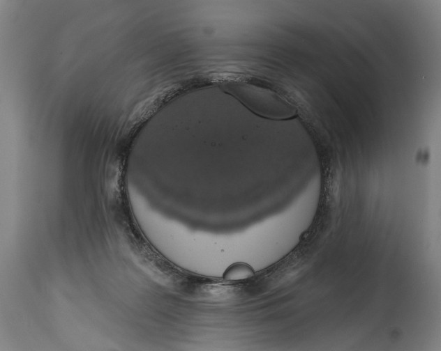 X0000115110219200911171312
