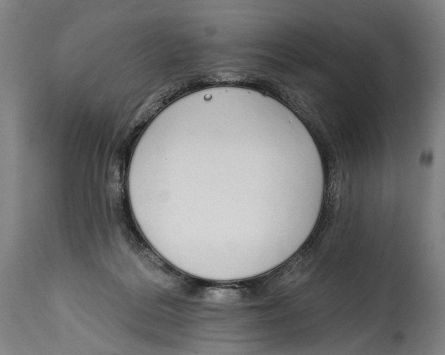 X0000115110220200911171312