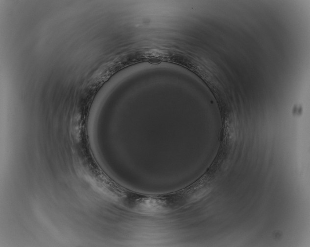 X0000115110223200911171312