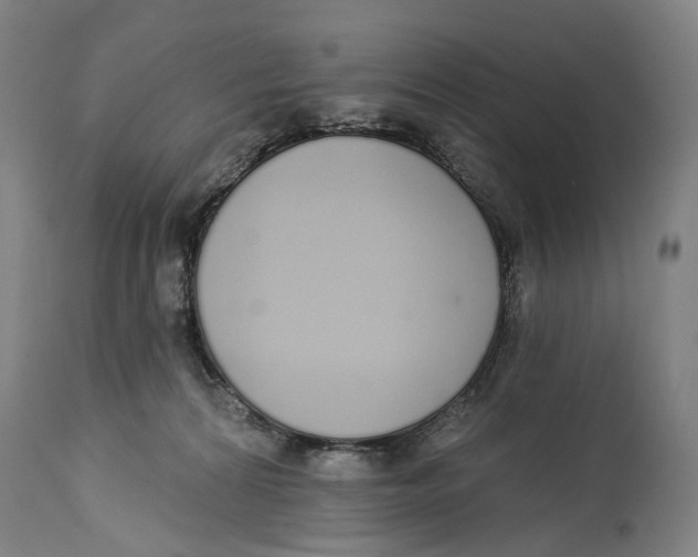 X0000115110224200911171312
