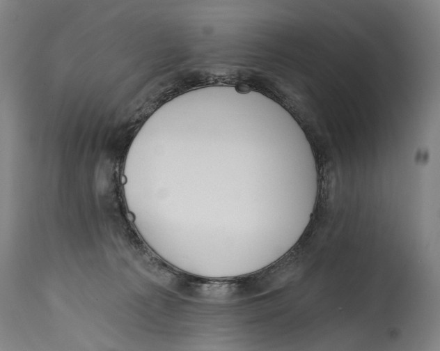 X0000115110225200911171312