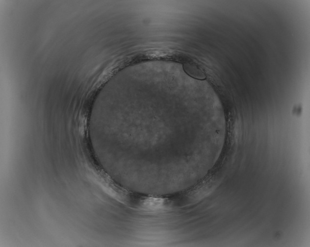 X0000115110227200911171312