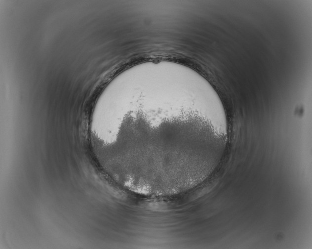 X0000115110228200911171312