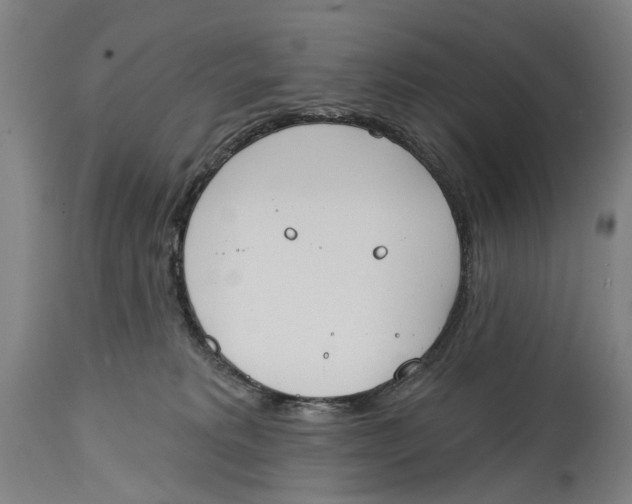 X0000115110229200911171312