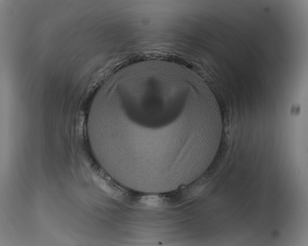 X0000115110231200911171312
