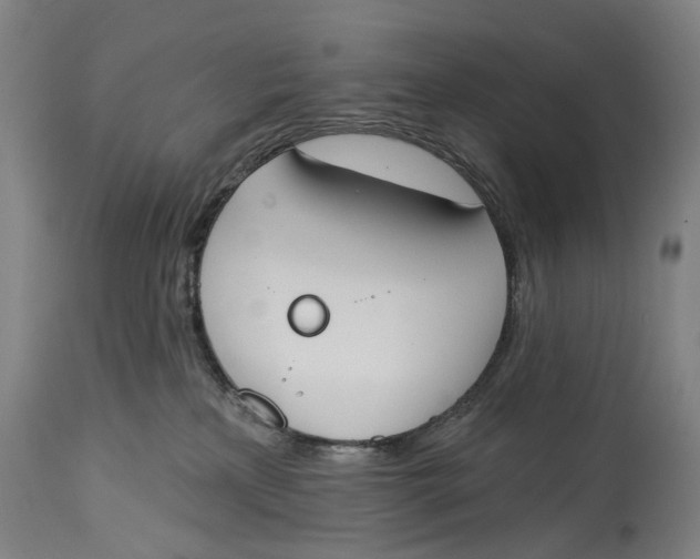 X0000115110233200911171312