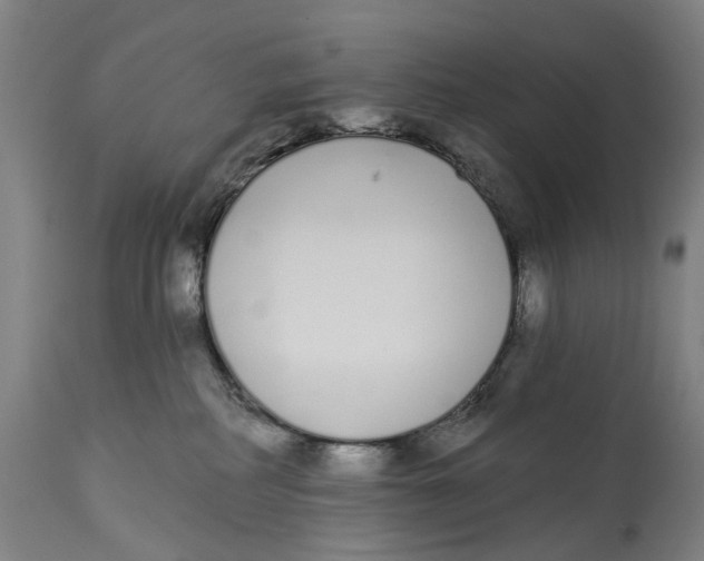 X0000115110234200911171312