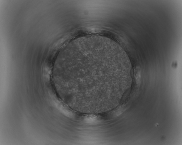X0000115110235200911171312