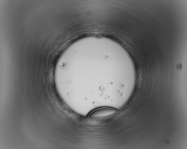 X0000115110236200911171312
