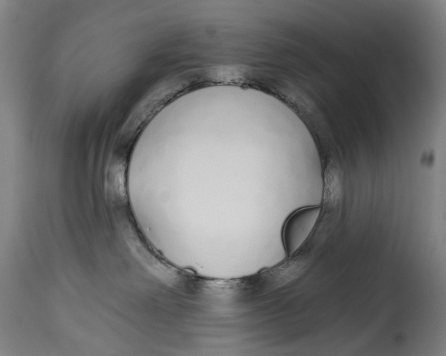 X0000115110238200911171312