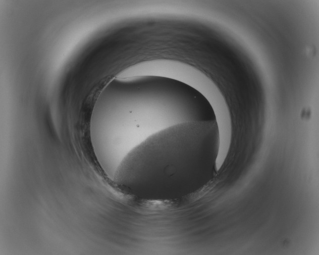 X0000115110239200911171312