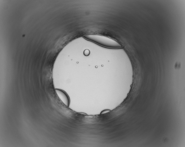 X0000115110240200911171312