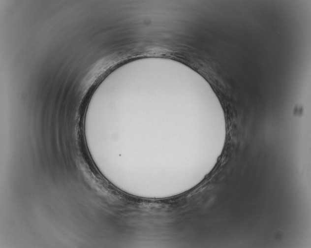 X0000115110242200911171311