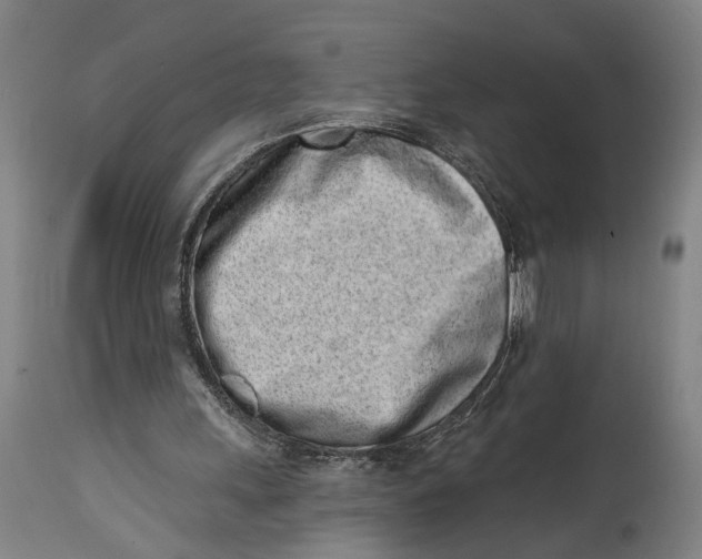 X0000115110243200911171311