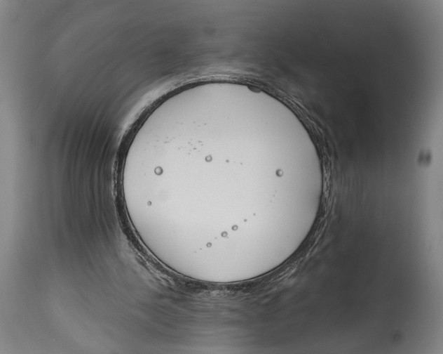 X0000115110244200911171311