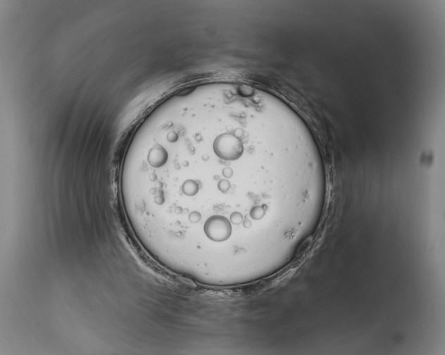 X0000115110245200911171311