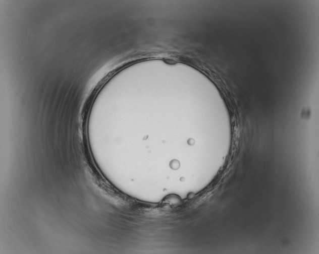 X0000115110246200911171311
