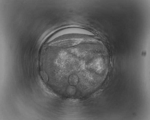 X0000115110247200911171311
