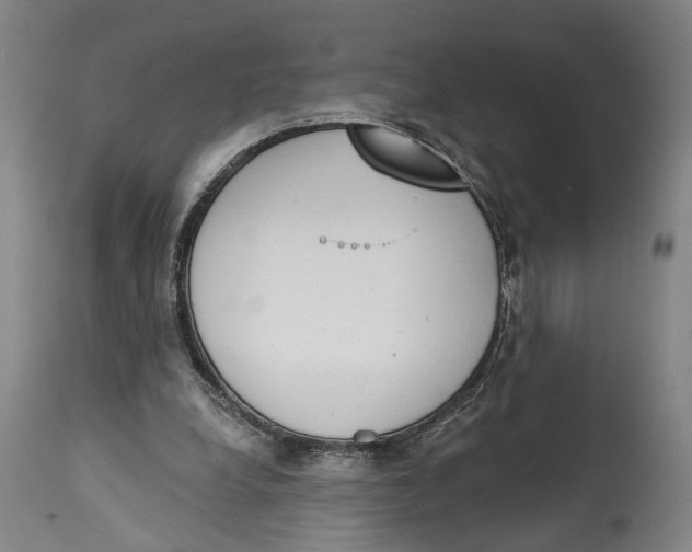 X0000115110248200911171311