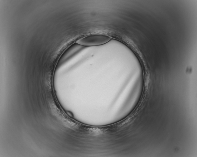 X0000115110249200911171311