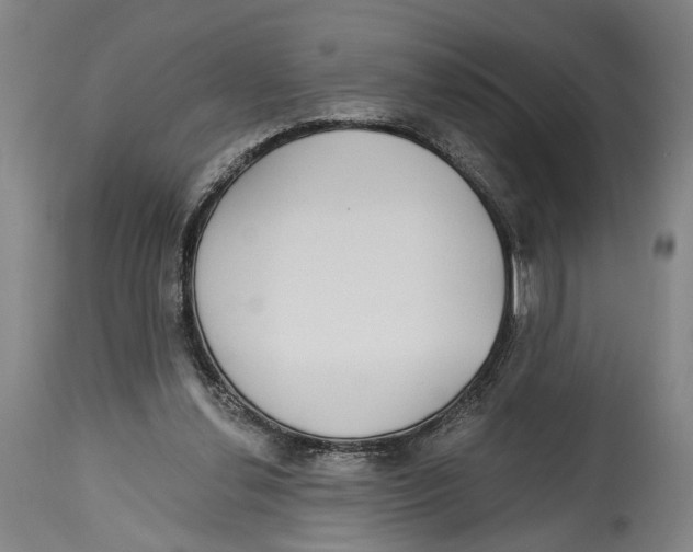 X0000115110252200911171311