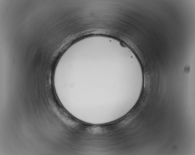 X0000115110253200911171311