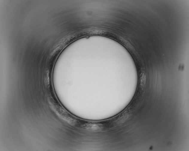 X0000115110254200911171311
