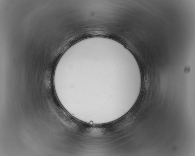 X0000115110255200911171312