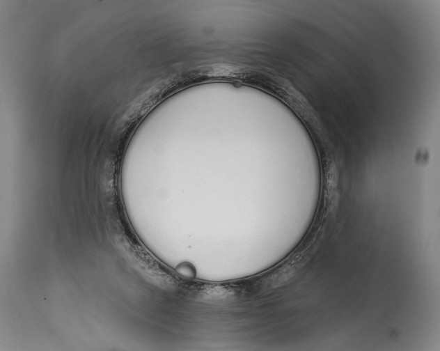 X0000115110257200911171312