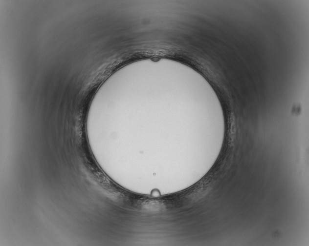 X0000115110258200911171312