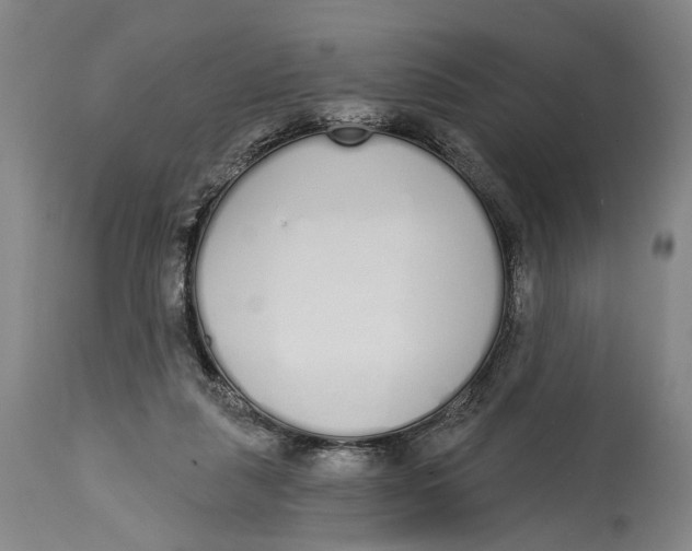 X0000115110259200911171312