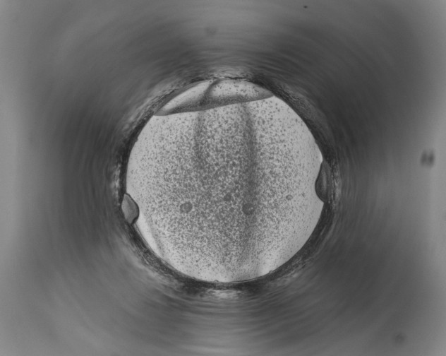 X0000115110260200911171312