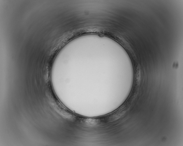 X0000115110261200911171312