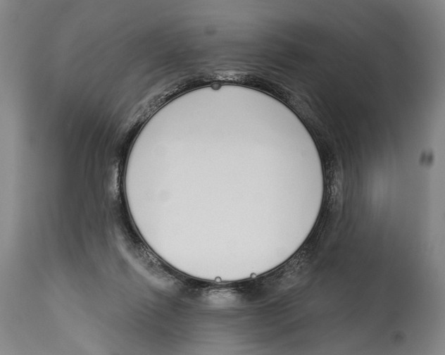 X0000115110262200911171312