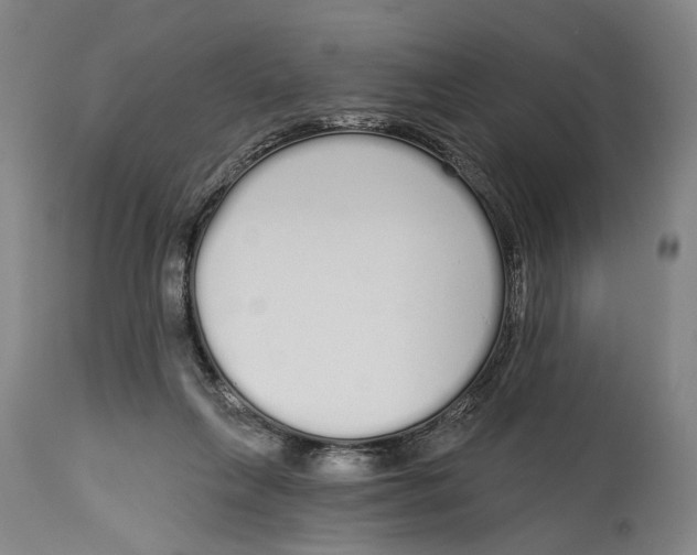X0000115110263200911171312
