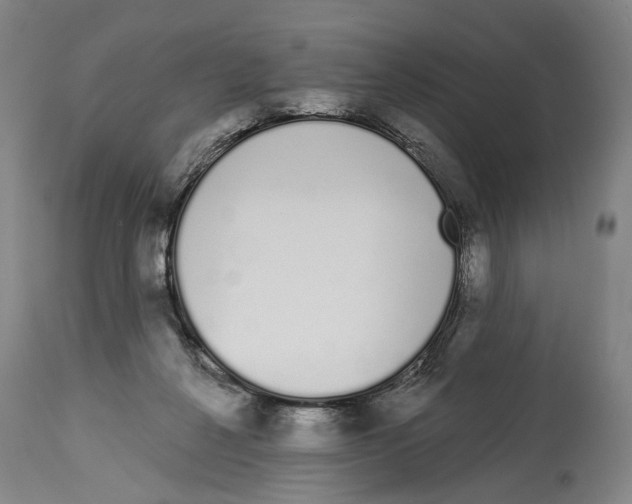 X0000115110264200911171312