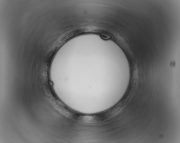 X0000115110265200911171312