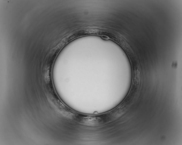 X0000115110267200911171312