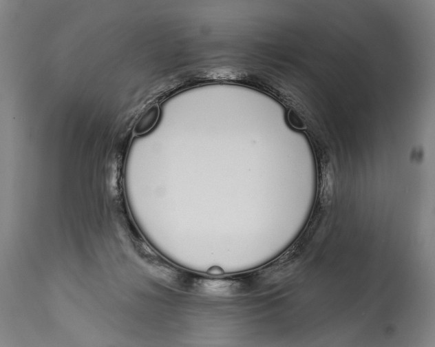 X0000115110268200911171312